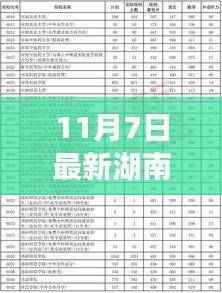 湖南二本最新投档线公布,解读背后的故事与深远影响