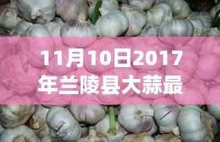 2017年兰陵县大蒜最新价格深度评测与介绍