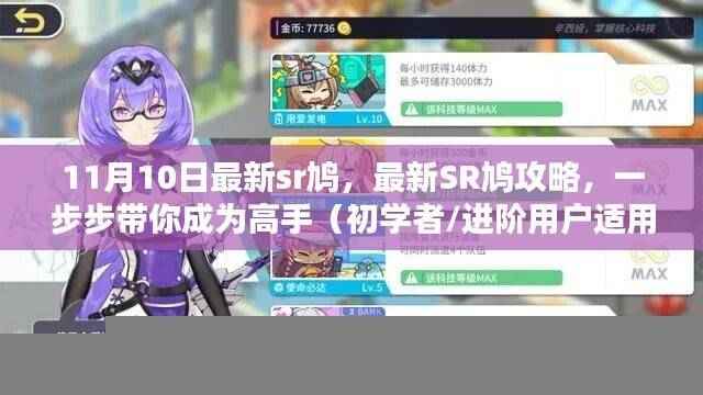 最新SR鸠攻略,从入门到高手的指南(适用于初学者与进阶用户)