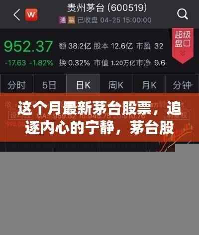 追逐内心的宁静,茅台股票之旅与自然的拥抱——最新市场动态分析