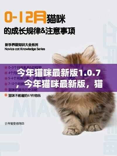 猫咪生活指南最新版1.0.7,带你探索猫咪的世界