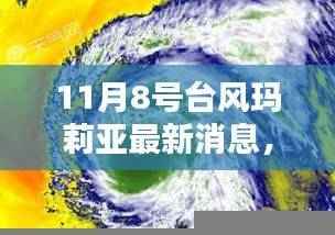 台风玛莉亚下的温馨日常,与友情共舞的日子(最新消息)