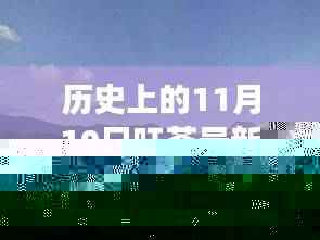 纪念十一月十日旺苍事件,历史印记与未来展望的回顾与展望