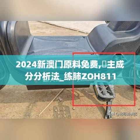 2024新澳门原料免费,主成分分析法_练肺ZOH811