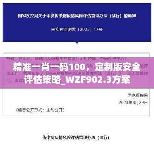精准一肖一码100,定制版安全评估策略_WZF902.3方案