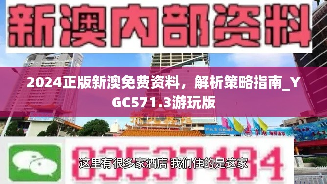 2024正版新澳免费资料,解析策略指南_YGC571.3游玩版