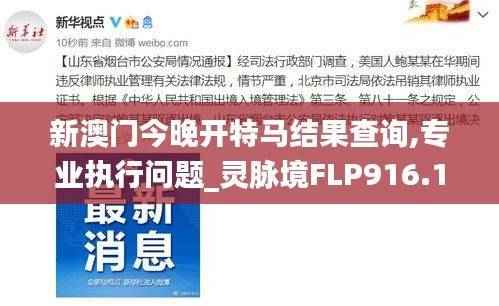 新澳门今晚开特马结果查询,专业执行问题_灵脉境FLP916.17