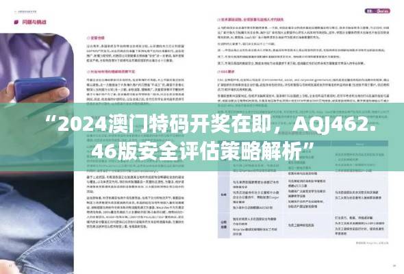 “2024澳门特码开奖在即,AQJ462.46版安全评估策略解析”