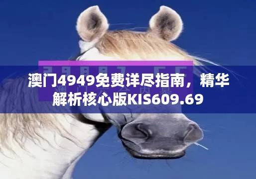 澳门4949免费详尽指南,精华解析核心版KIS609.69
