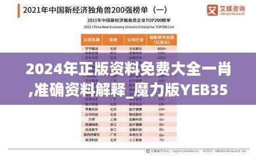2024年正版资料免费大全一肖,准确资料解释_魔力版YEB355.45