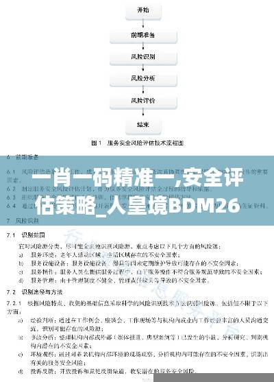 一肖一码精准一,安全评估策略_人皇境BDM263.06