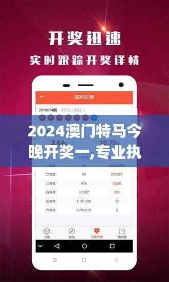 2024澳门特马今晚开奖一,专业执行问题_FAW510.13圣人