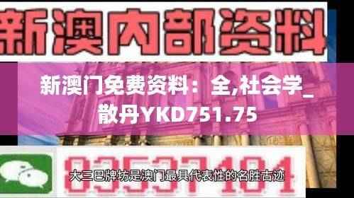 新澳门免费资料:全,社会学_散丹YKD751.75