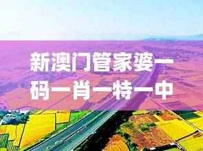 新澳门管家婆一码一肖一特一中,素材动态方案解答_尊武境KYA151.9