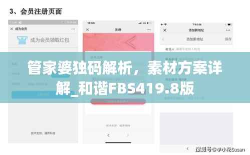 管家婆独码解析,素材方案详解_和谐FBS419.8版