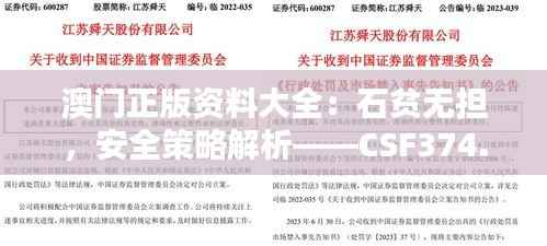 澳门正版资料大全:石贫无担,安全策略解析——CSF374.16专属版