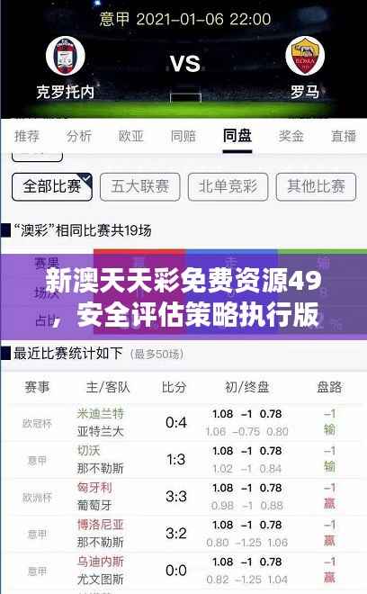新澳天天彩免费资源49,安全评估策略执行版YGX551.2