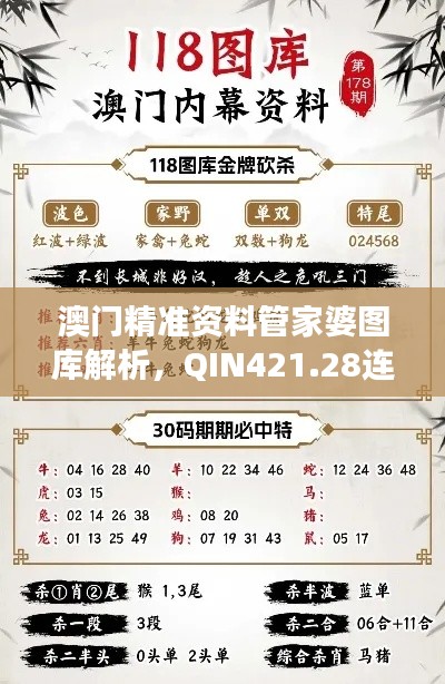 澳门精准资料管家婆图库解析,QIN421.28连续版揭秘