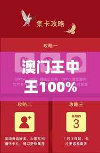 澳门王中王100%中奖,独家策略揭秘_广播版RXK745.91