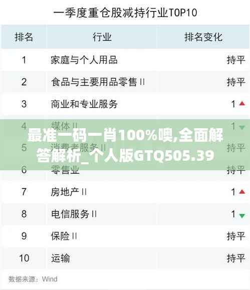 最准一码一肖100%噢,全面解答解析_个人版GTQ505.39