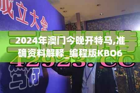 2024年澳门今晚开特马,准确资料解释_编程版KBO650.57