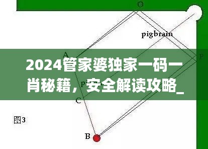 2024管家婆独家一码一肖秘籍,安全解读攻略_魔力数据库DBQ224.79