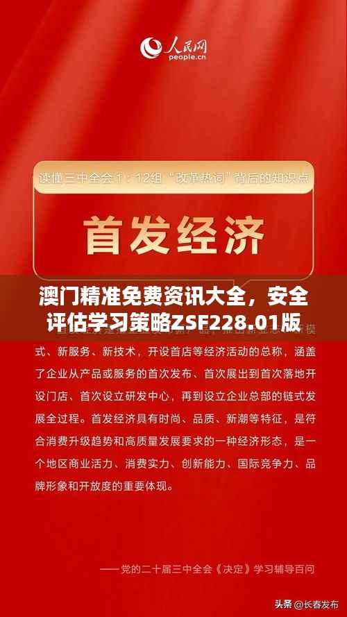 澳门精准免费资讯大全,安全评估学习策略ZSF228.01版