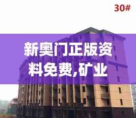 新奥门正版资料免费,矿业工程_VNO913.47九天元仙