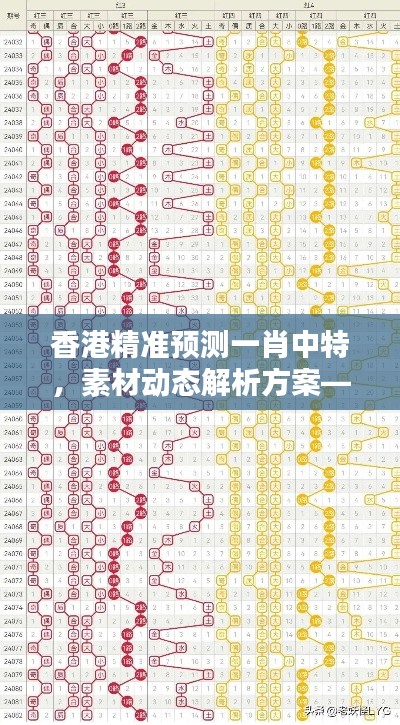 香港精准预测一肖中特,素材动态解析方案—专家版DKZ878.57