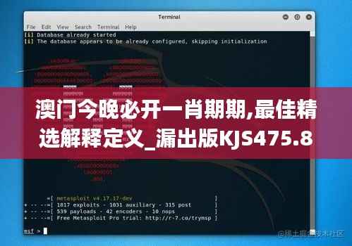 澳门今晚必开一肖期期,最佳精选解释定义_漏出版KJS475.89