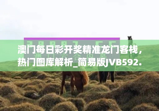 澳门每日彩开奖精准龙门客栈,热门图库解析_简易版JVB592.23