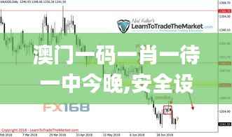 澳门一码一肖一待一中今晚,安全设计策略解析_配送版893.84