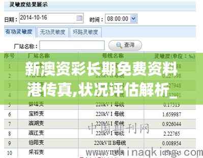 新澳资彩长期免费资料港传真,状况评估解析_网络版CNI256.51