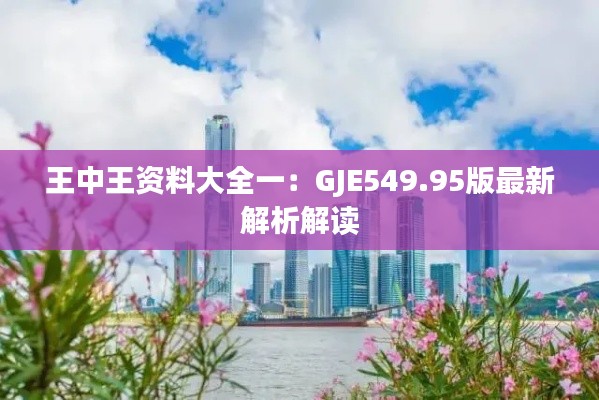 王中王资料大全一:GJE549.95版最新解析解读