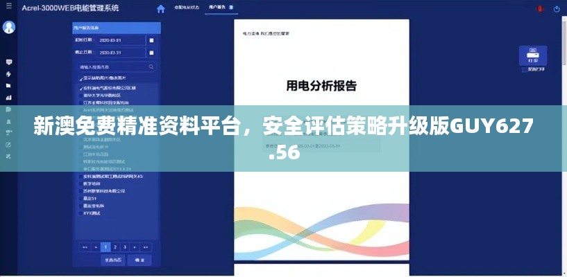 新澳免费精准资料平台,安全评估策略升级版GUY627.56
