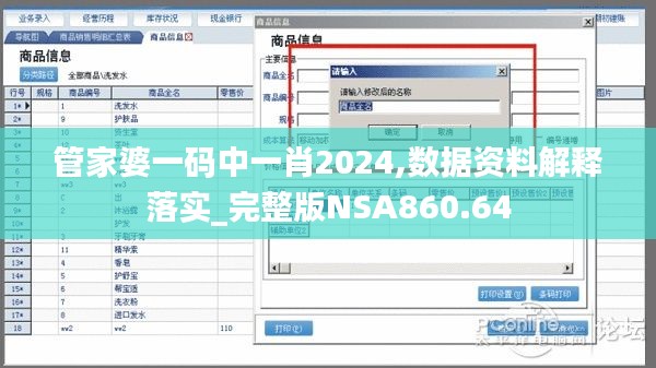 管家婆一码中一肖2024,数据资料解释落实_完整版NSA860.64