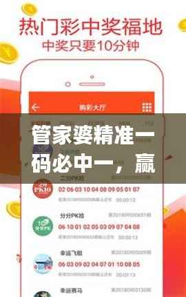 管家婆精准一码必中一，赢家揭晓_揭秘版XBM446.7