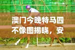 澳门今晚特马四不像图揭晓,安全策略深度解析_高清版FYV670.37
