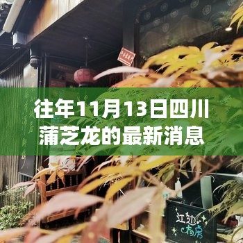 四川蒲芝龙小巷探秘,独特风味之旅的最新消息(11月13日更新)