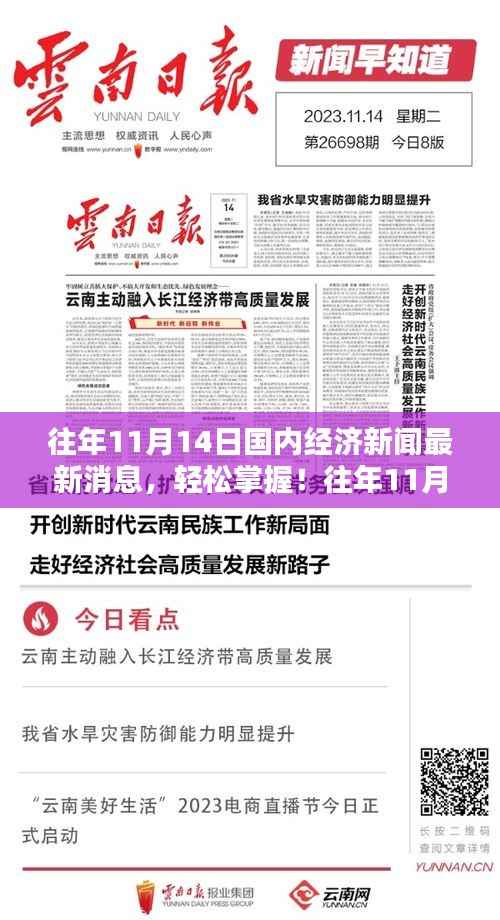 往年11月14日国内经济新闻速递,全方位解析,必备步骤指南助你轻松掌握最新消息!