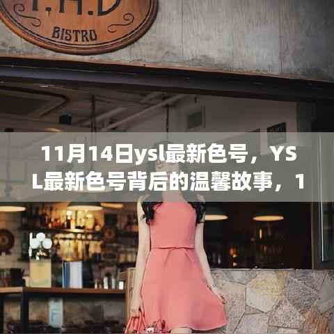 揭秘YSL最新色号背后的故事，11月14日的美丽邂逅与温馨情感
