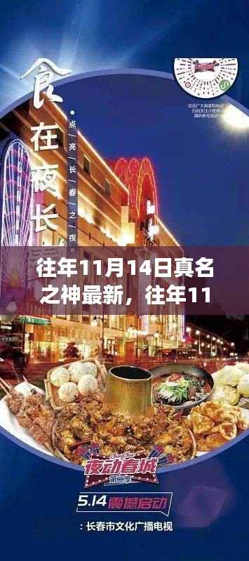 往年11月14日真名之神最新,观点碰撞与探讨的盛会