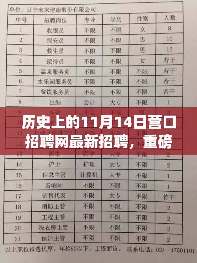 历史上的11月14日营口招聘网最新招聘揭秘,优质职位火热开放,等你来抢!