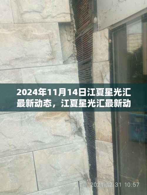 江夏星光汇最新动态,科技前沿的璀璨时刻(2024年11月14日)