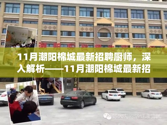 最新潮阳棉城厨师招聘综合评测,深度解析