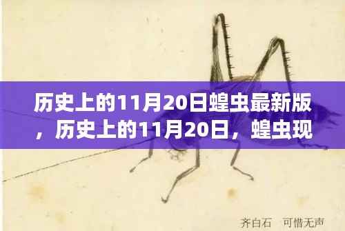 历史上的11月20日深度解析,蝗虫现象最新版报告
