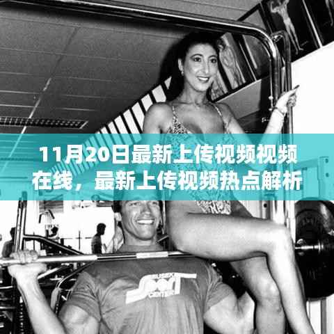 11月20日最新视频热点解析与概览