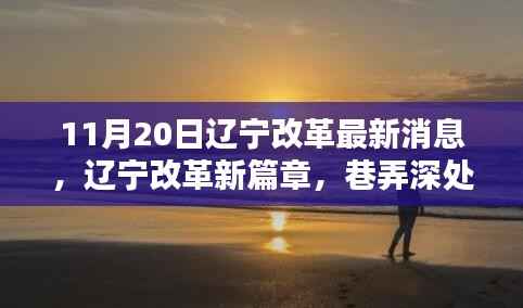辽宁改革新篇章,巷弄深处的隐藏瑰宝揭秘,11月20日的惊喜更新