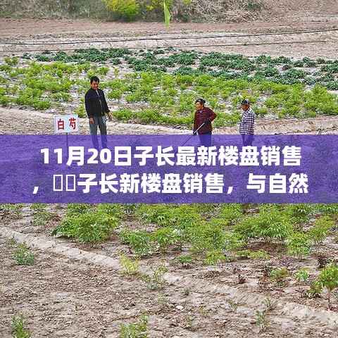 11月20日子长最新楼盘销售,子长新楼盘销售,与自然美景的不解之缘,开启心灵之旅
