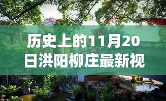 洪阳柳庄最新视频揭秘,历史价值与文化解读探寻之路